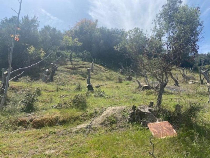 Vryses im Apokoronos Grundstück mit Meerblick in Hampatha, Vryses, Apokoronas Grundstück kaufen